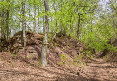 Excursión A pie Königsberg in Bayern - Lauftour KÖN1 - Photo