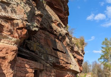 Trail Walking Philippsbourg - 2023-04-09 Marche Chateaux Rothenbourg Waldeck Falkenstein - Photo