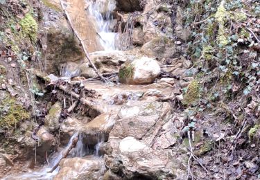 Trail Walking Thoiry - THOIRY-PACHOUD-RIPPE-29-03-24 - Photo