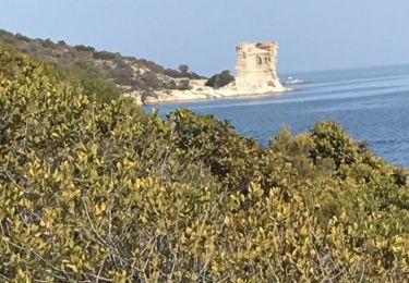 Randonnée Marche Saint-Florent - St Florent Plage de Saleccia - Photo