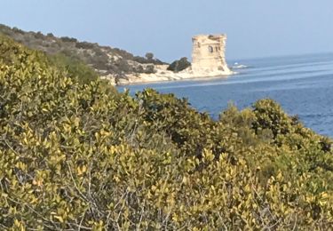 Tour Wandern Saint-Florent - St Florent Plage de Saleccia - Photo