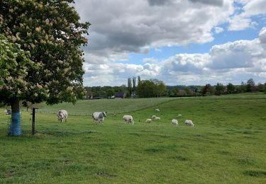 Trail Walking Genappe - petit tour par le Sclage. - Photo