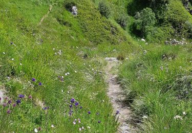 Randonnée Marche Mont-Dore - Première randonnée dans le Sancy - Photo