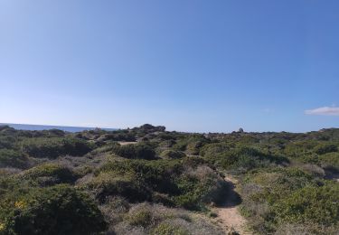Trail Walking Figari - La testa - Photo
