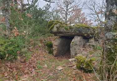 Trail Walking Sainte-Eulalie-de-Cernon - ste eulalie in live - Photo