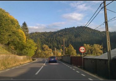 Excursión A pie  - Neagra - Creasta Suhacani - Poiana Cădăreni - Creasta Șapte poieni - Neagra - Photo