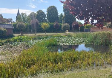 Tour Wandern Heuqueville - 20230810 Heuqueville  - Photo