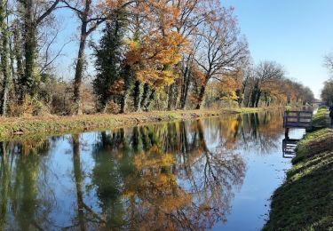 Tour Wandern Saint-Lyé - SAINT-LYE - Photo