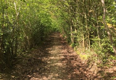 Trail Walking Spa - Promenade d'Orléans - Photo