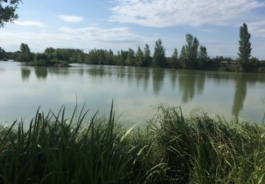 Tocht Stappen Calmont - Vers l’Hers - Photo