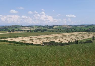 Trail Walking Siena - SityTrail - Sienne /  Ponte d'Arbia - Photo
