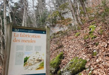 Randonnée Marche Mont-Saint-Martin - la Meulière des Dauphins par Mont St Martin - Photo