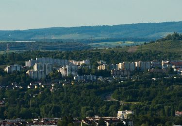 Percorso A piedi Waiblingen - Waiblingen - Winnenden - Photo