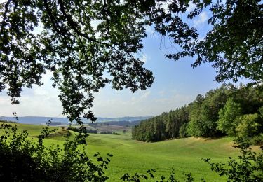 Percorso A piedi Seybothenreuth - Seybothenreuth-Birker Jakobusweg - Photo