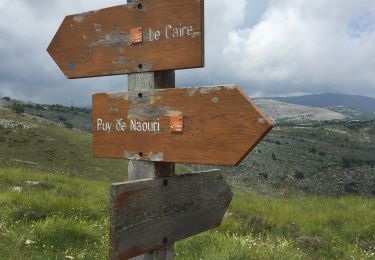 Tocht Stappen Vence - Naouri avec problème de réception  - Photo