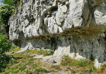 Tocht Te voet Salzhemmendorf - SA3 Kanstein Rundwanderweg - Photo