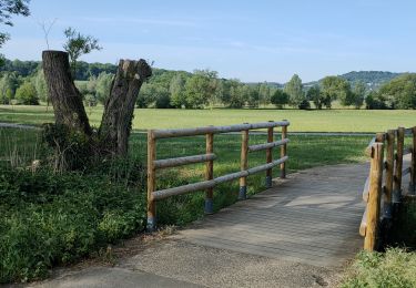 Trail Road bike Saulny - fèves - Photo