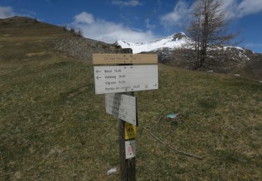 Trail Walking Beuil - Mont Moulines en boucle depuis Beuil - Photo