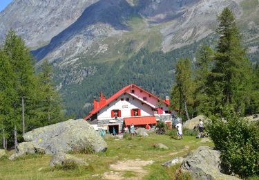 Excursión A pie Chiesa in Valmalenco - IT-321 - Photo