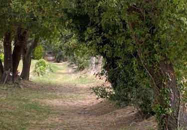 Tocht Stappen Taulignan - Taulignan chemin de la soie - Photo