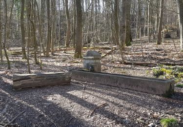 Tocht Stappen Saarbrücken - Urwald tour sarrebruck - Photo