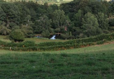 Randonnée Marche Cisternes-la-Forêt - La Foret - Photo