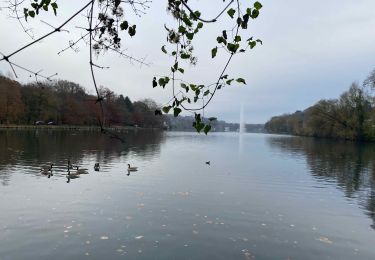 Excursión Senderismo Rixensart - Rosières - Lac de Genval - Tombeek - Photo