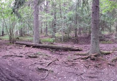 Tour Zu Fuß  - Sjöslingan - Photo