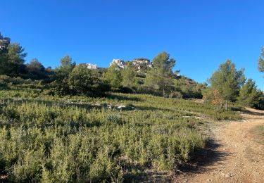 Tocht Stappen Cuges-les-Pins - Le brigou - Photo