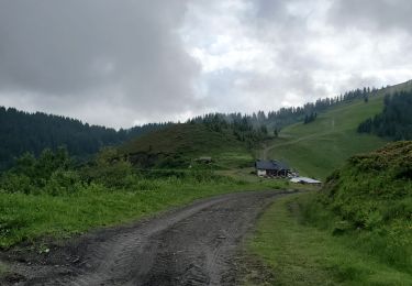 Tocht Stappen Praz-sur-Arly - Torraz christomet 928m 18kms  - Photo