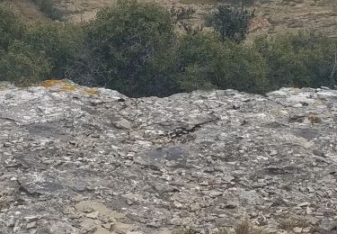 Randonnée Marche Lançon-Provence - Lançon-camp de Campagnoles-les Gariots - Photo