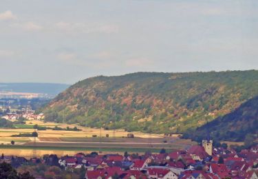 Tocht Te voet Stettfeld - Lauftour STE1 - Photo