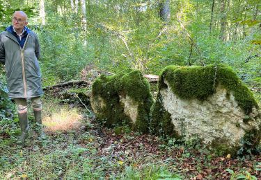 Tocht Stappen Arc-en-Barrois - 52 Arc en Barrois dolmens - Photo