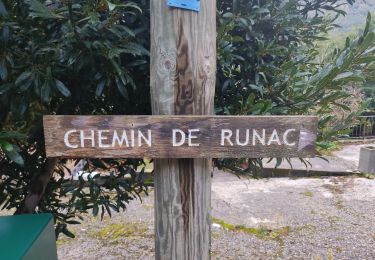 Randonnée Marche Ax-les-Thermes - Chemin de Runac - Photo