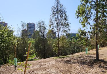 Tour Wandern Vitacura - Parque Bicentenario - Photo