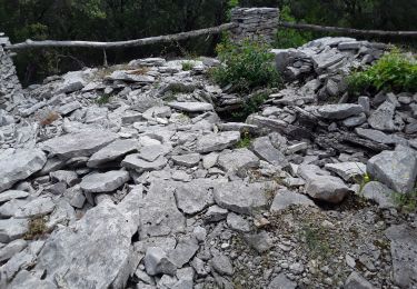 Tour Wandern Ferrières-les-Verreries - Ferrięre les verrerie aller retour  - Photo