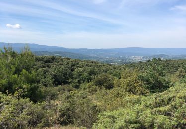 Tour Wandern Villars - Haut des Grands Clément  - Photo