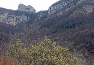 Tocht Stappen Saint-Jean-d'Arvey - Lovettaz-Monterminod-Razerel-MontBasin-2021-03-03 - Photo