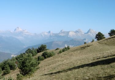 Trail Walking Saint-Julien-en-Beauchêne - Boucle d'Or Quigouret - Photo