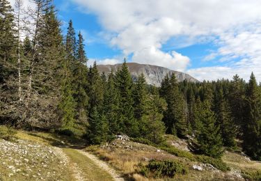 Trail Walking Saint-Agnan-en-Vercors - Pas de la Ville - Photo