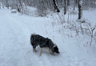 Trail Walking Valloire - Valloirette  - Photo