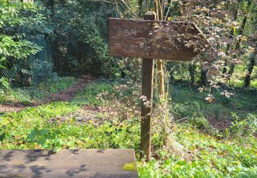 Trail Walking Sucé-sur-Erdre - Ganuchaud  - Photo