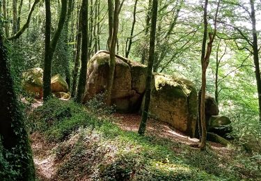 Percorso Marcia Plaintel - Les Mauriers par le chemin des fées. - Photo