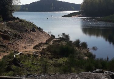 Randonnée Marche Celles-sur-Plaine - barrage du lac de Pierre percée  - Photo