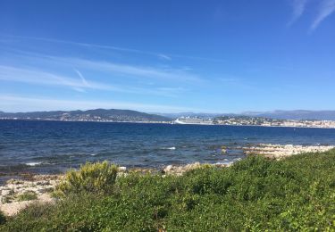 Tocht Stappen Cannes - Île Ste Marguerite - Photo