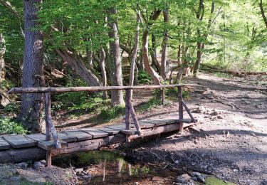 Tour Wandern Aywaille - Tour du Ninglinspo par le ruisseau du Chefna - ballade de la mine d'or - Photo