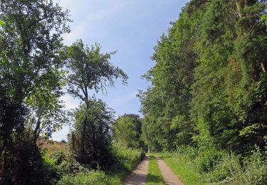 Randonnée A pied Eltmann - Lauftour ELT3 - Photo