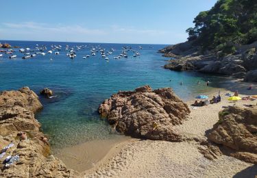 Tour Wandern Palafrugell - Tamaris / Cap de Bisbe - Photo