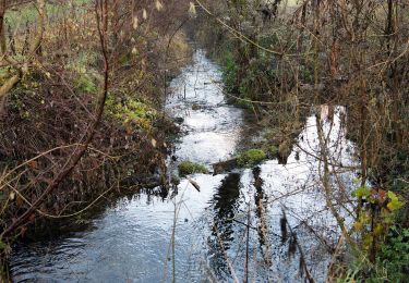 Tocht Te voet Hussigny-Godbrange - Sentier de la Moulaine - Photo