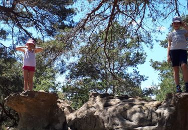 Excursión Senderismo Fontainebleau - gorges de Franchard  - Photo